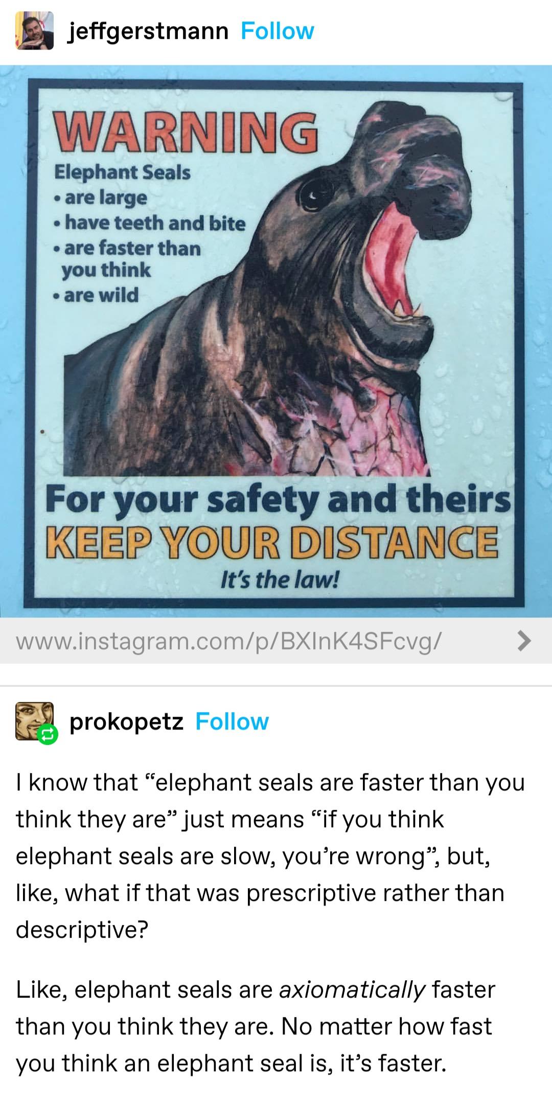 Elephant seals are a new cryptid.