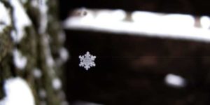 Spider web vs snow flake.