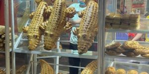 è¶Šå— bakery makes crocodile breadstuffs.