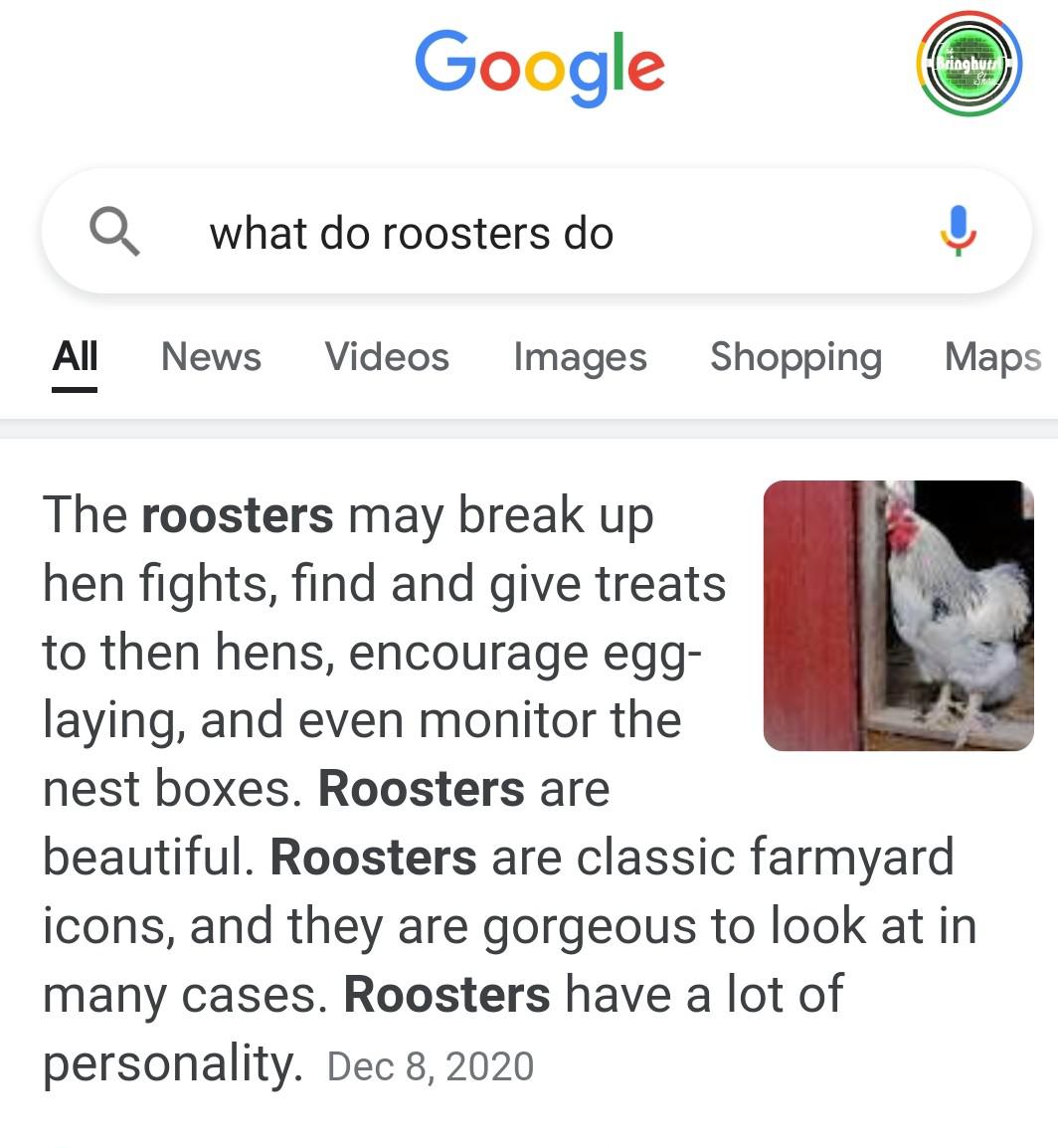 A rooster wrote this.