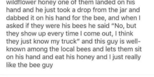 Feed the bees.