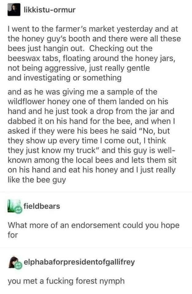 Feed the bees.