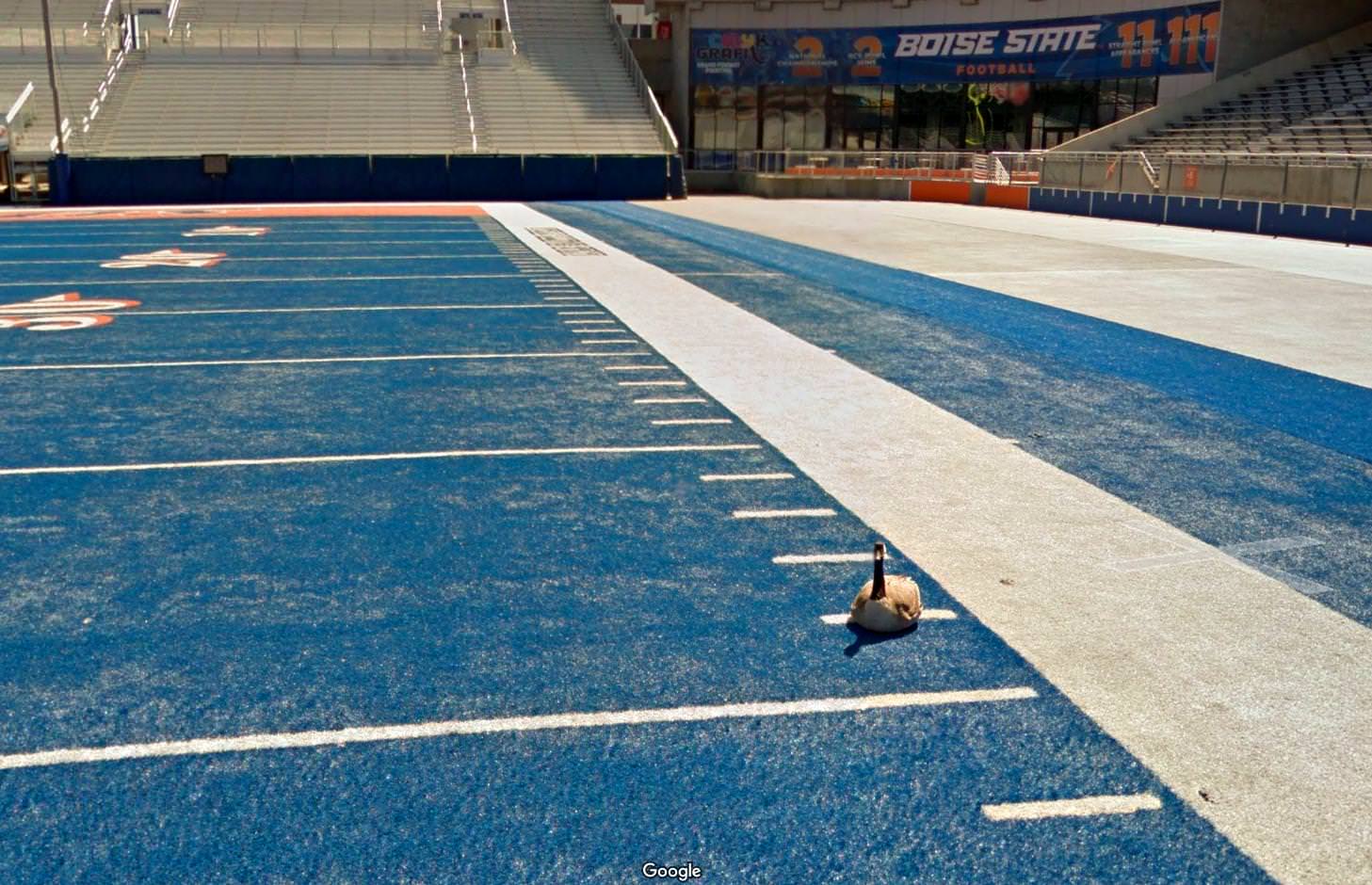 We have a Blue Football field. It confuses out of towners.