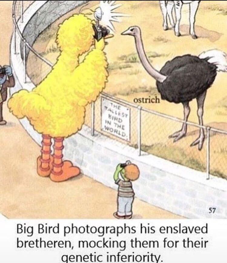 Big bird is a spectator sport.