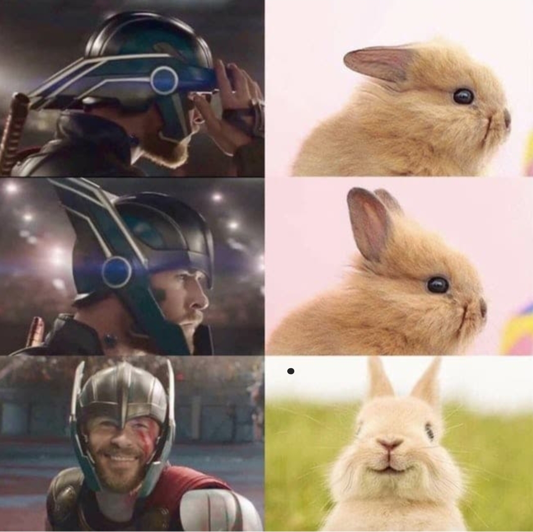 Bun wore it better.