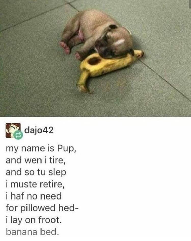 i lay on froot.