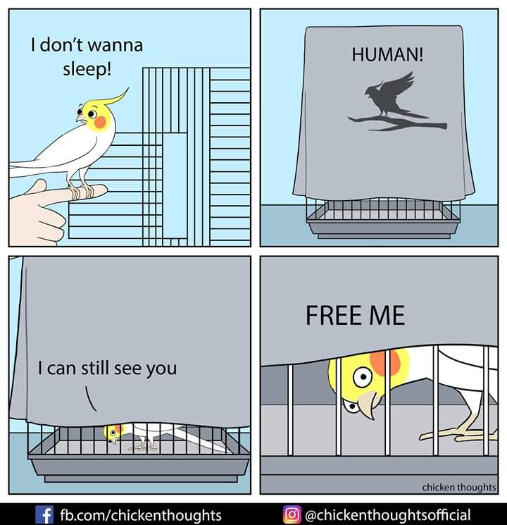 Stop putting the birbs in cages, is what I've always said.