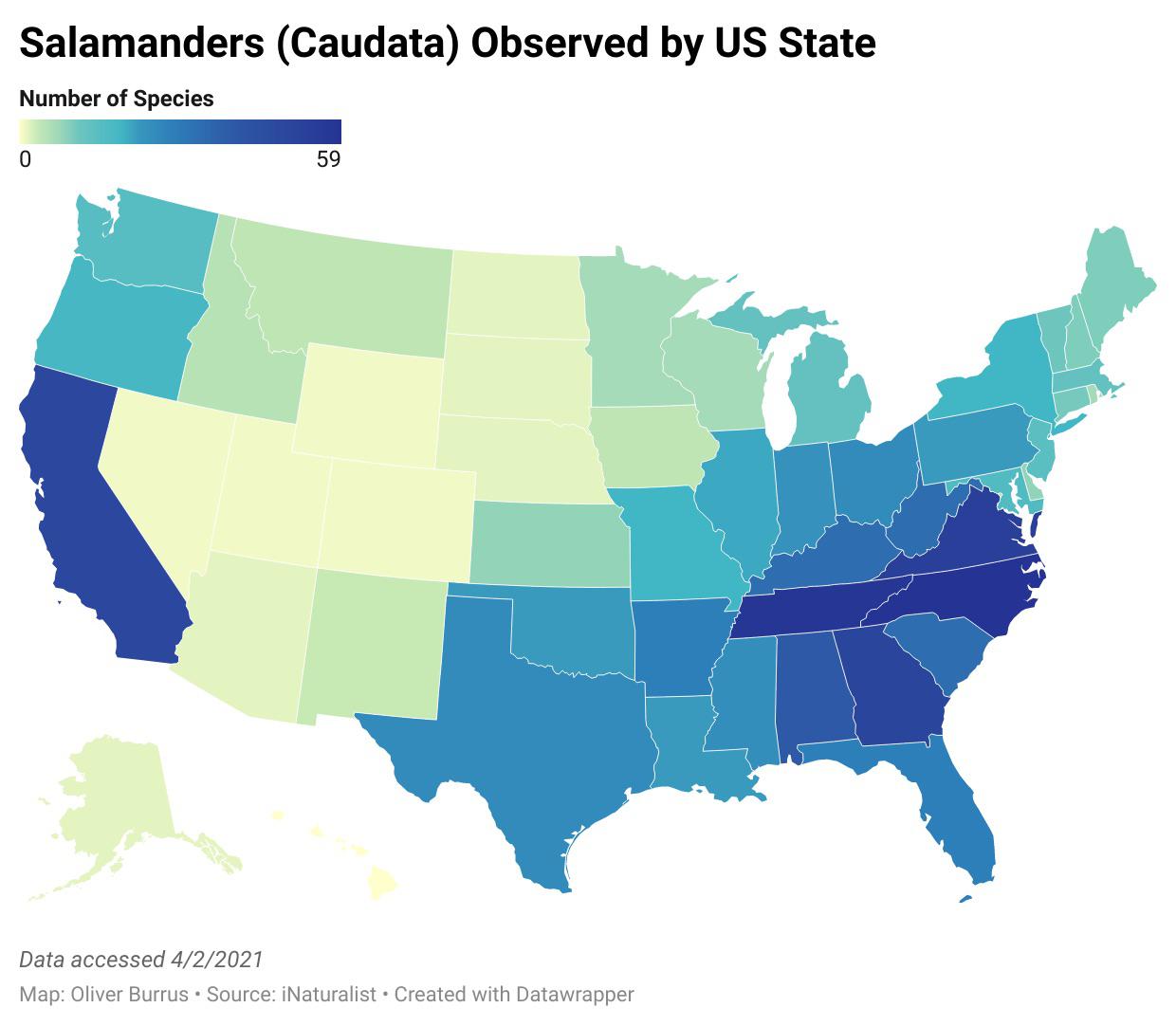 The Salamander Science we've all been waiting for. 