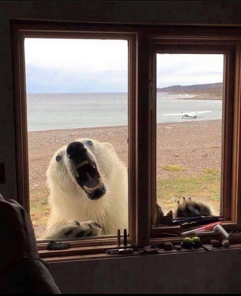 Remote cabin in Alaska for rent, lovely view. Nice neighbours.