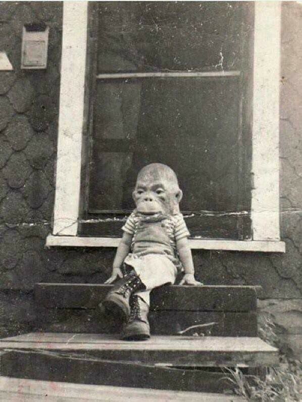 Circa 1920s monkey mask vibes.