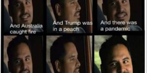2020, a summary so far.
