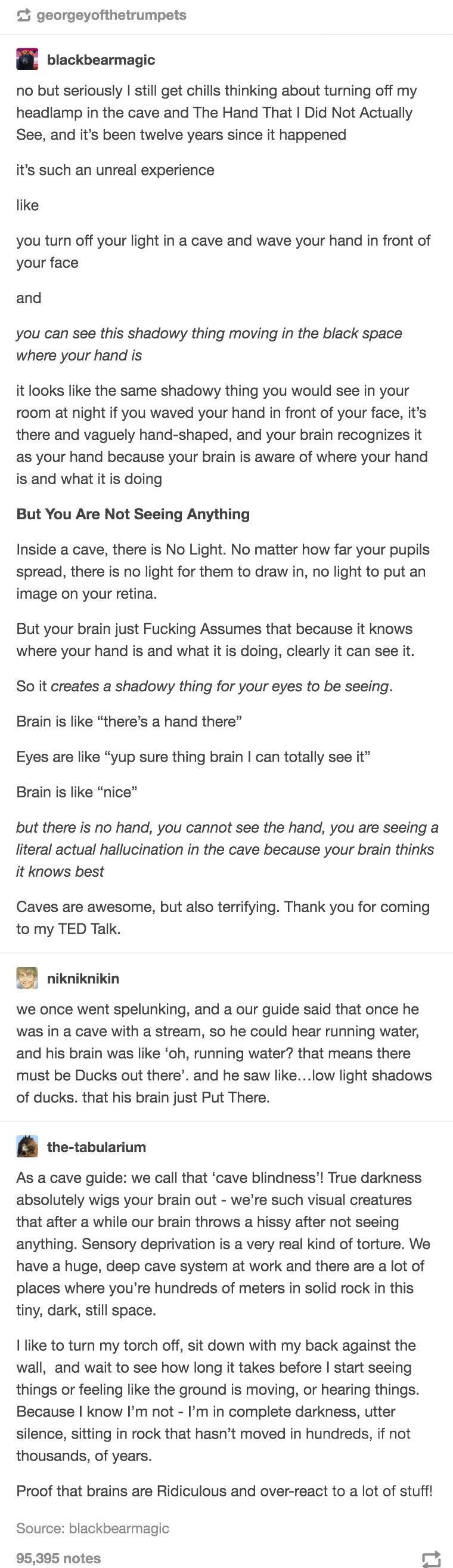 Brains are whack. 