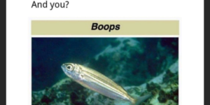 When I boop you boop we beep.