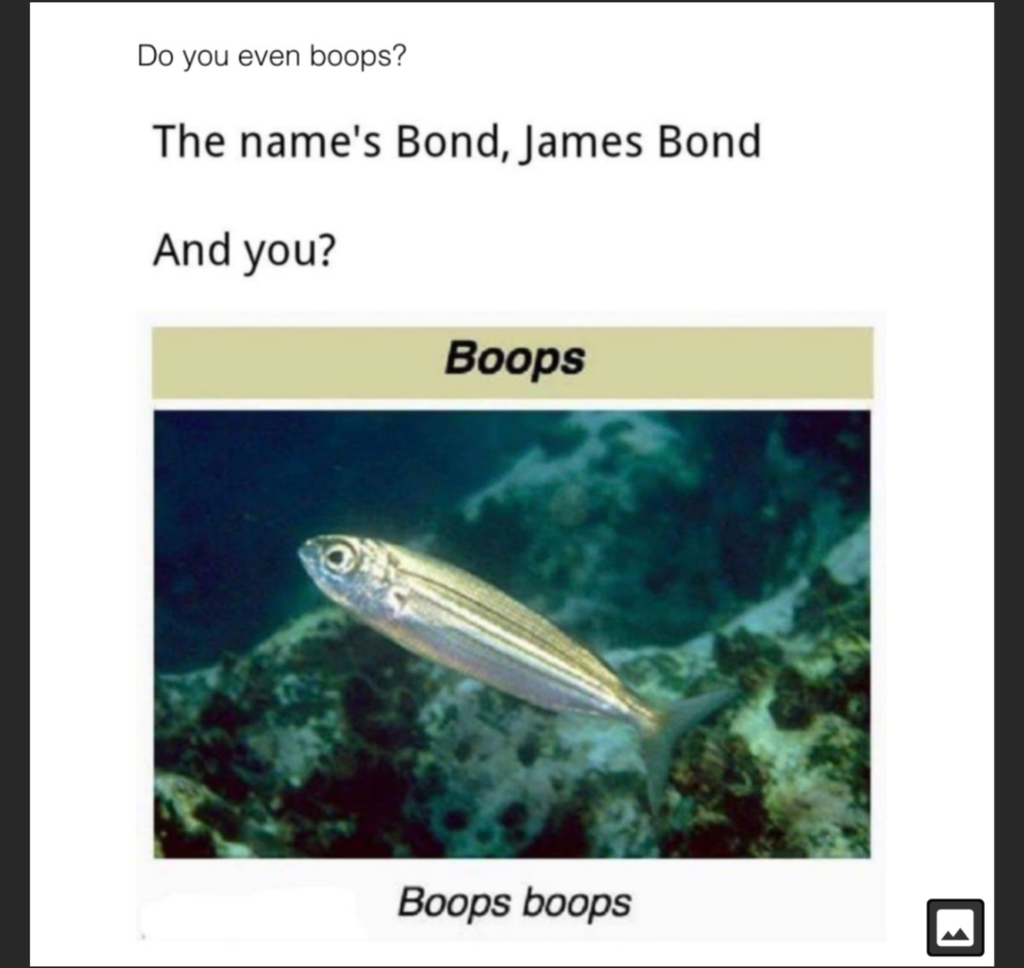 When I boop you boop we beep.