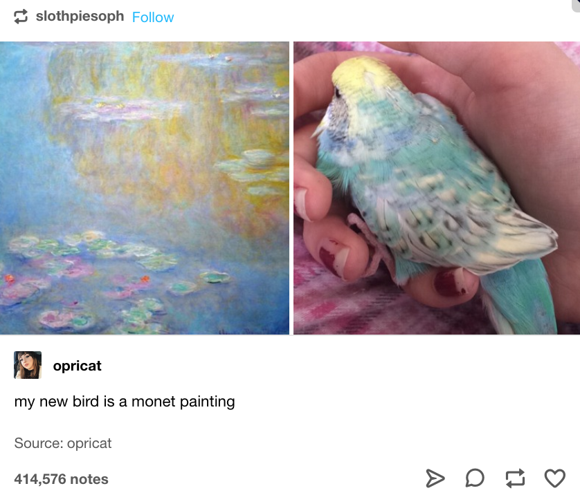 Pretty birb...