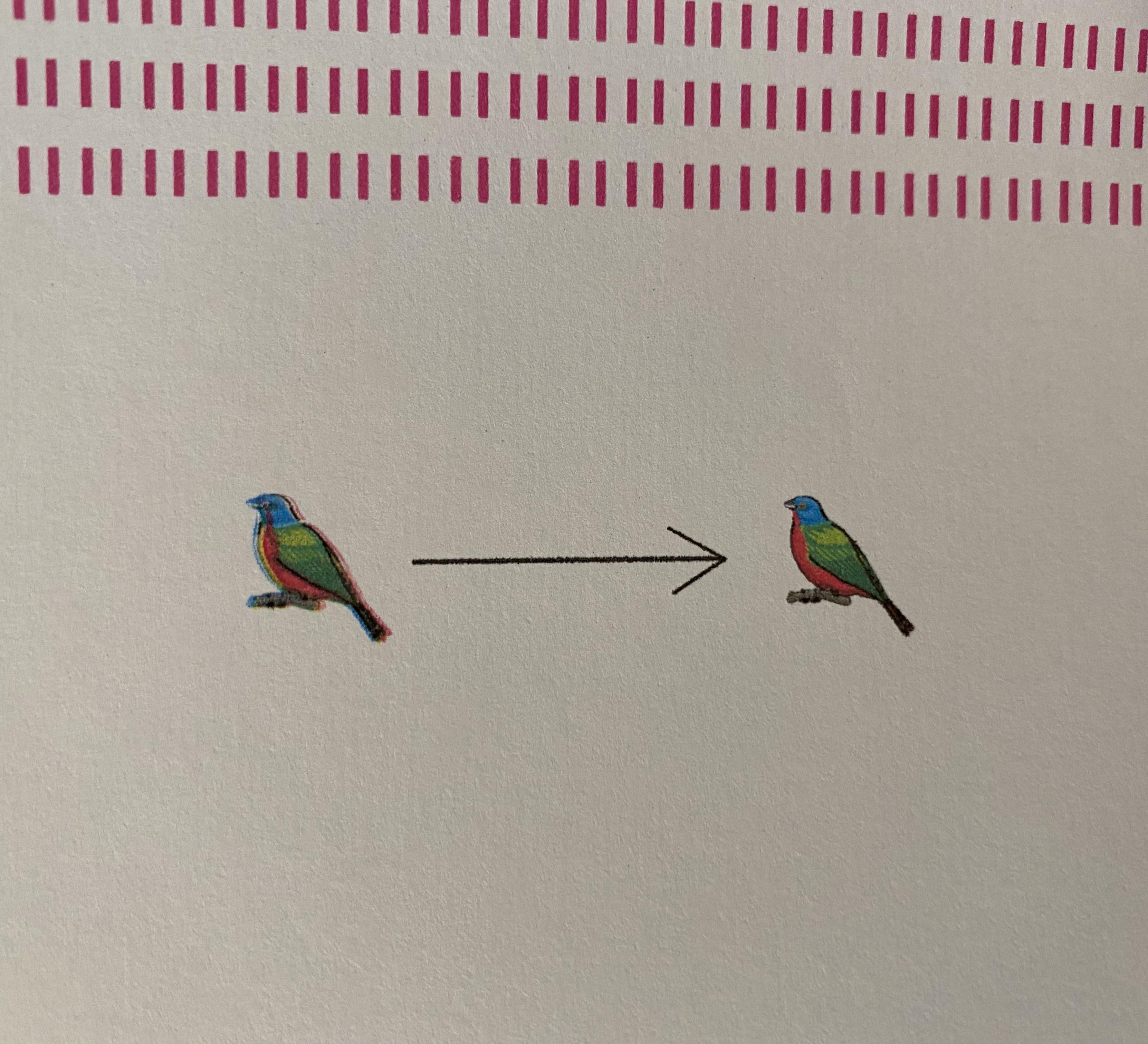 Before and after printer alignment. FYI. 