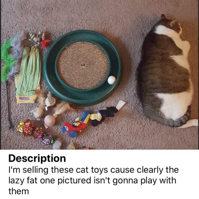 Cat toys for sale, mint condition.