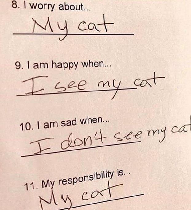 Gato is life.