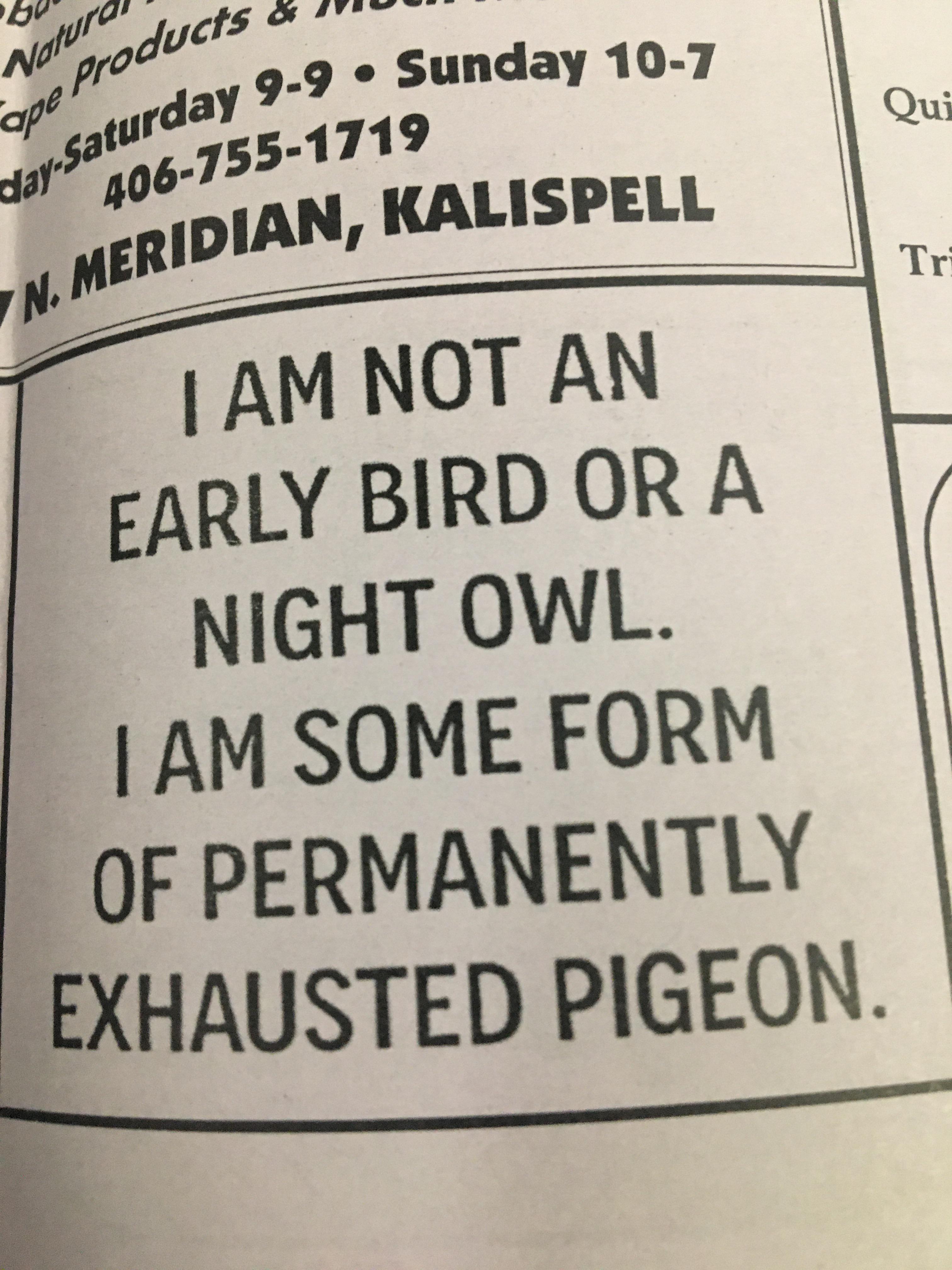  A proper pigeon would not have bothered to take out a classified ad.