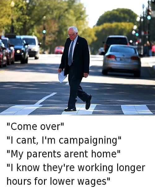 Why did the Bernie cross the road?