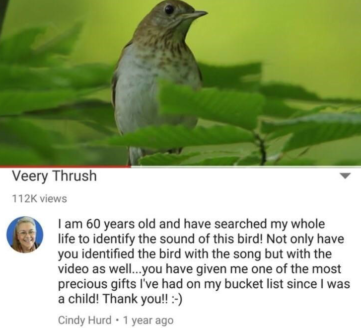 OK now do the mighty Bush Tit.