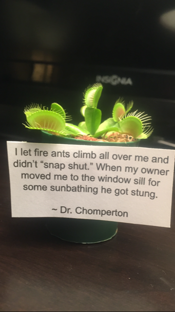 Plant shaming