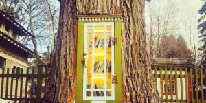 Librarian turns old growth tree stump into a neighborhood library.