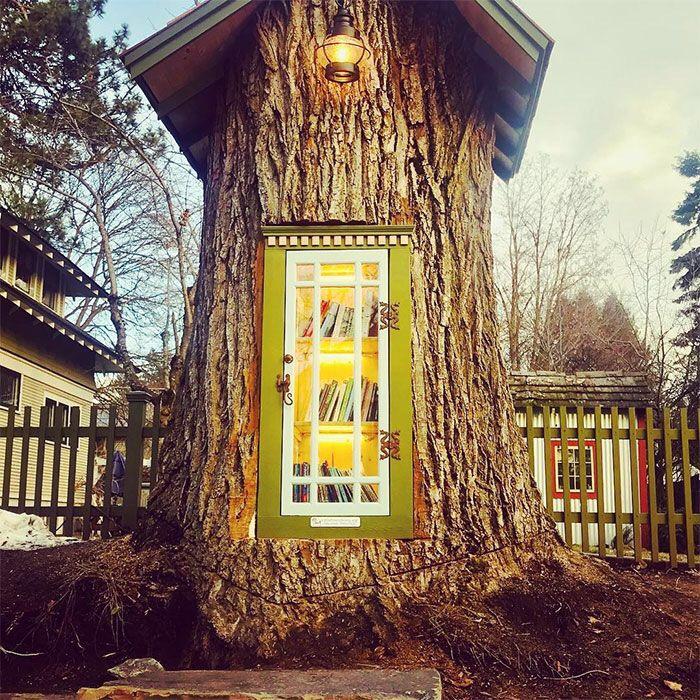Librarian turns old growth tree stump into a neighborhood library.