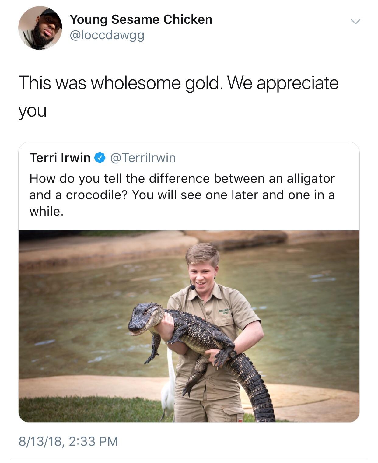 Steve Irwin's son telling his dad's jokes.