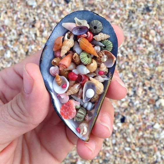 Jeffreys Bay in South Africa is one of the most famous places she sells sea shells by the sea shore.