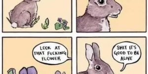 Have a nice day.