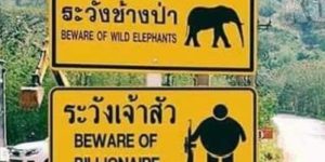 Thailand+perfectly+depicts+Western+poachers