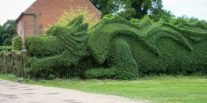 Now that’s what I call Shrubbery 2020.