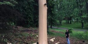 A lightning strike blew all the bark off. Very very frightening…