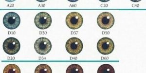 What is your eye-d number?