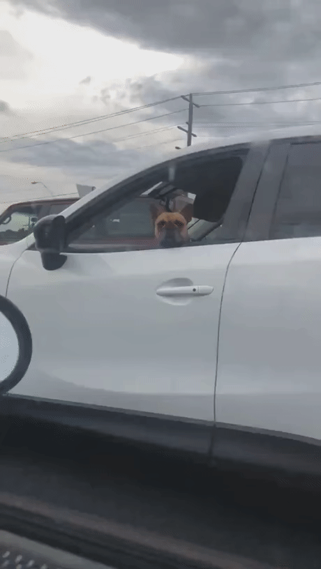 This is not the road rage I was expecting.