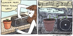 Plants just loooove music!