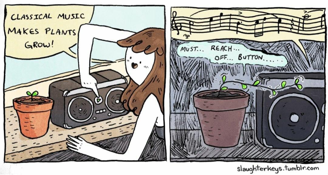 Plants just loooove music!