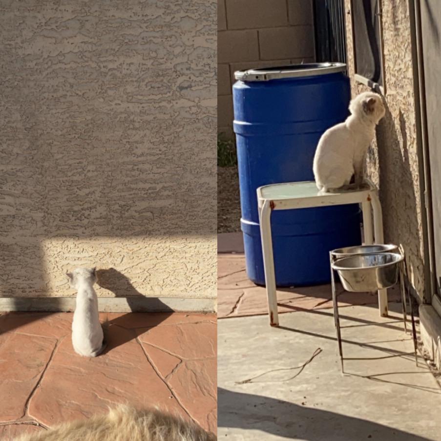 She's really blind and loves the outdoors.