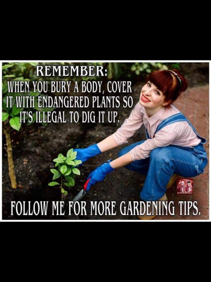Get a head start on your spring gardening plans.