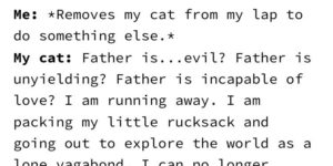 Dialogue of a cat.