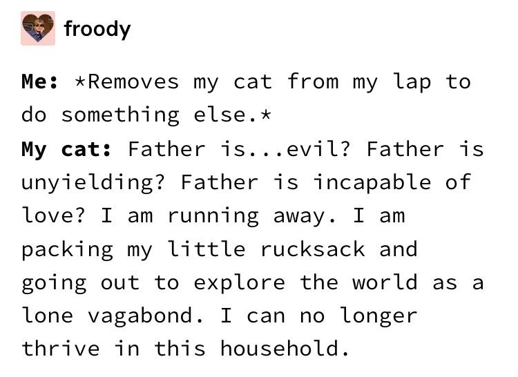 Dialogue of a cat.