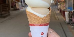 Japanese Ice Cream is really really ridiculously good looking.