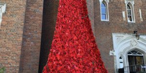 In memory of those who lost their lives in WW1.