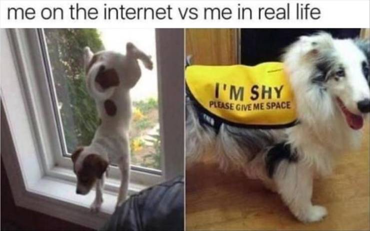 Internet vs IRL life...