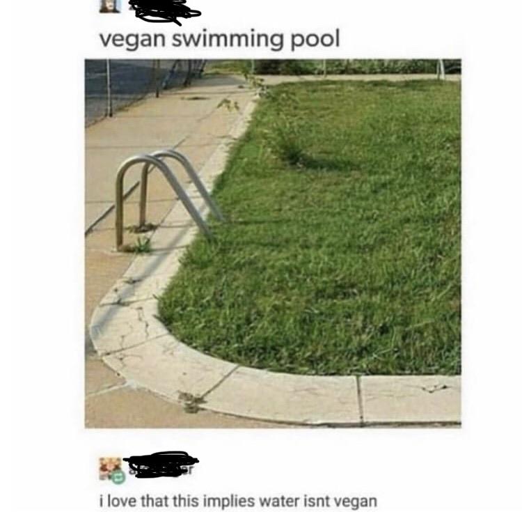 Water is not vegan, prove me right. 