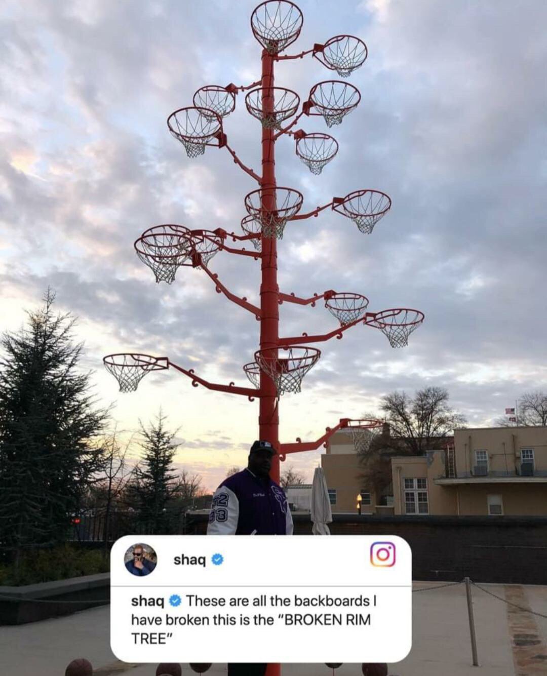 Shaq's broken rim tree...