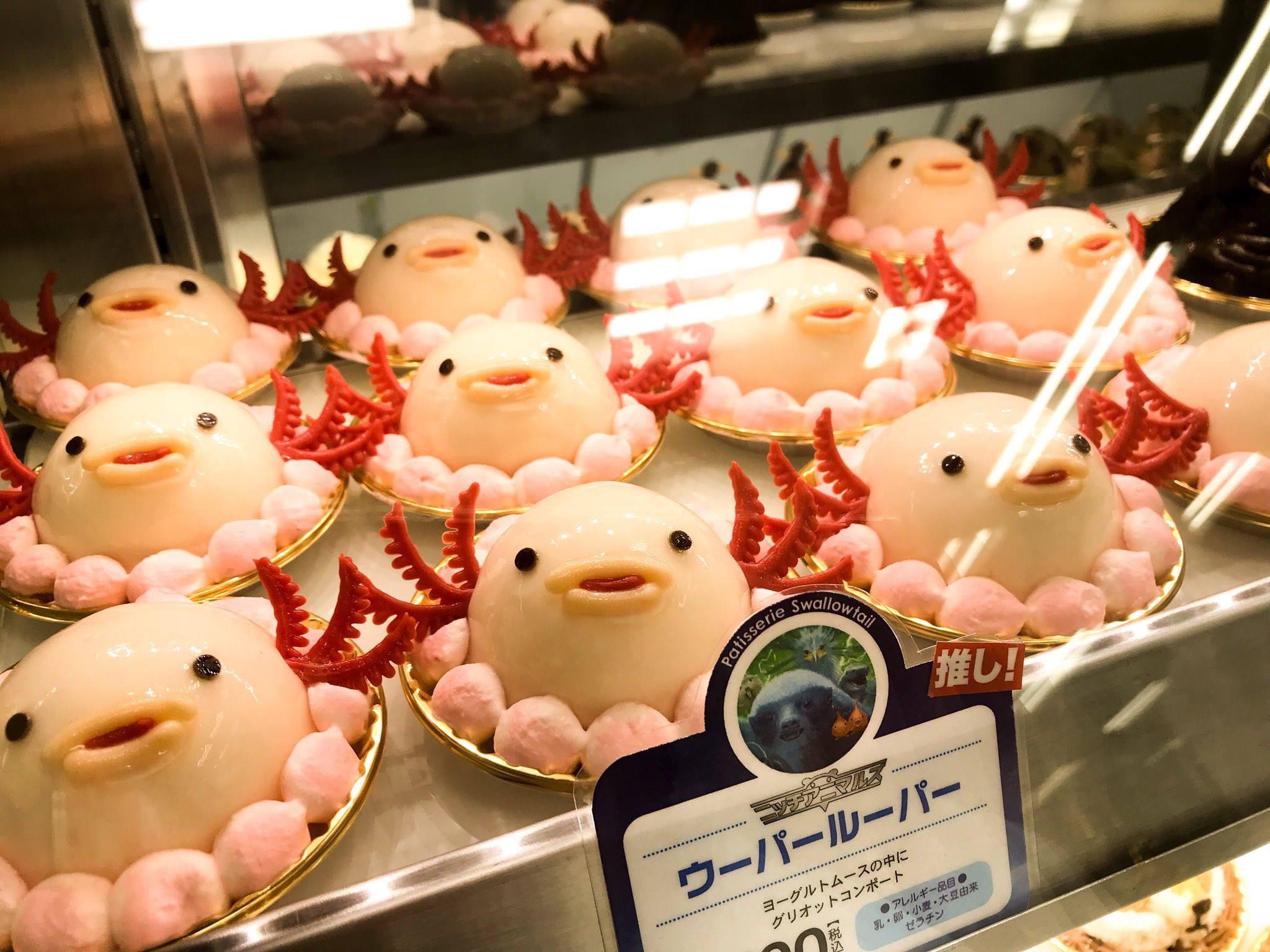 Axolotl shaped flan for fun and profit!