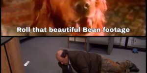 Roll that beautiful bean footage