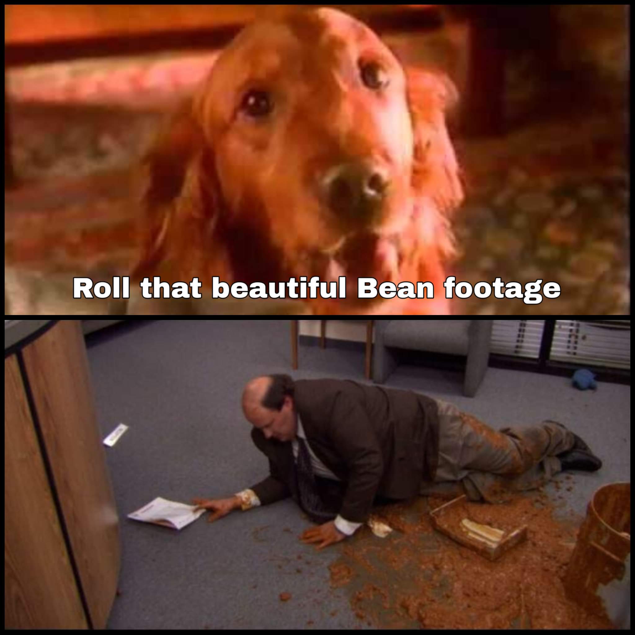 Roll that beautiful bean footage